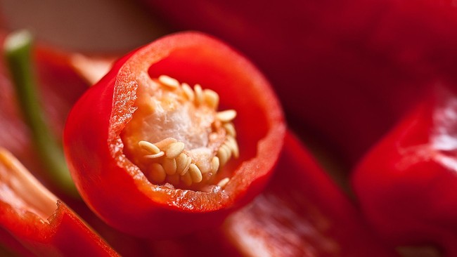 7 Bahan Dapur yang mana Ampuh Mengusir Tikus, Gampang Didapat